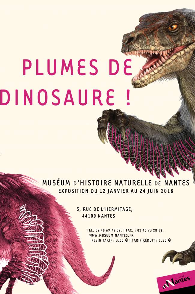 Plumes de dinosaure